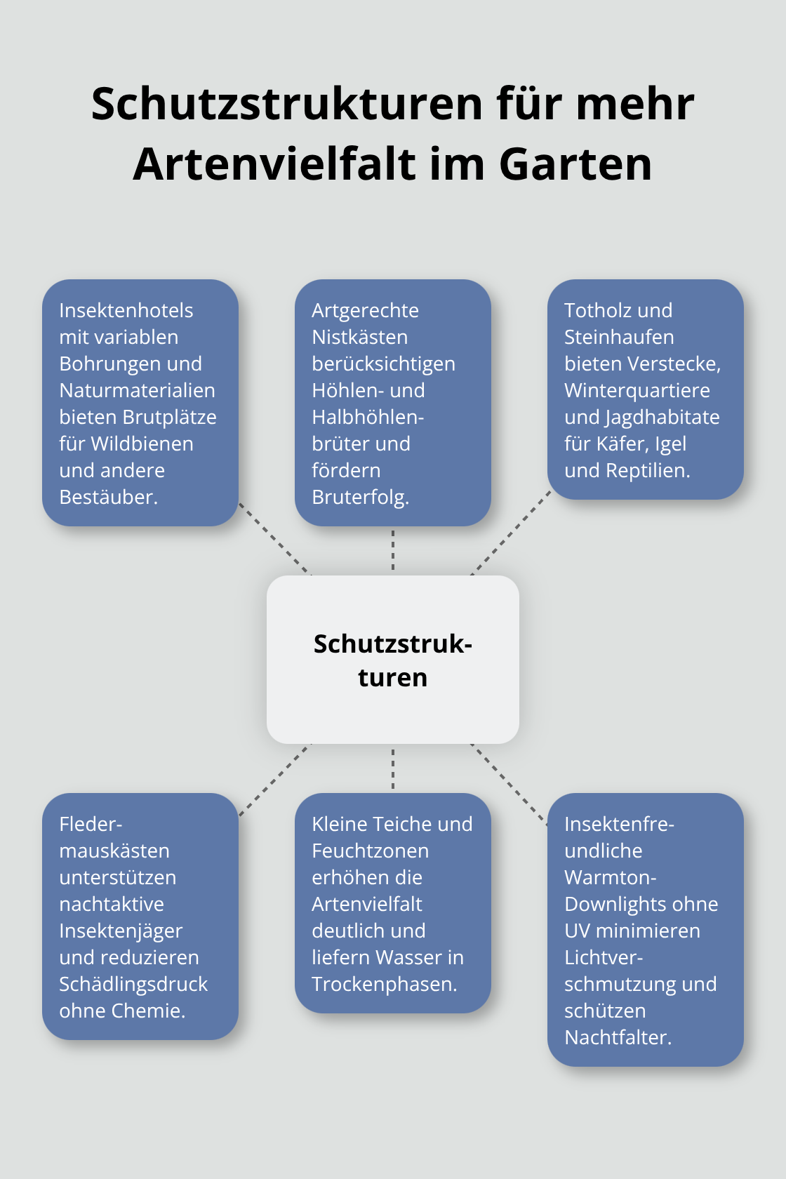 Hub-and-Spoke-Grafik zu zentralen Schutzstrukturen für Insekten, Vögel und Kleintiere - Biodiversität Außenräume Konzept Nachhaltigkeit