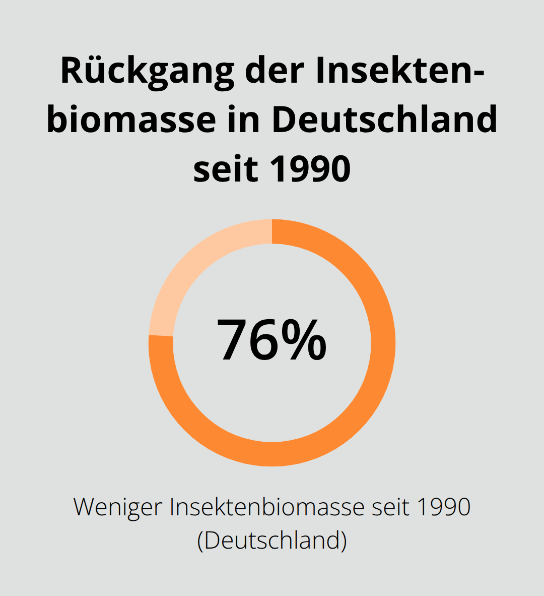Infografik: 76 % Rückgang der Insektenbiomasse in Deutschland seit 1990 - Biodiversität Förderung Garten Planung