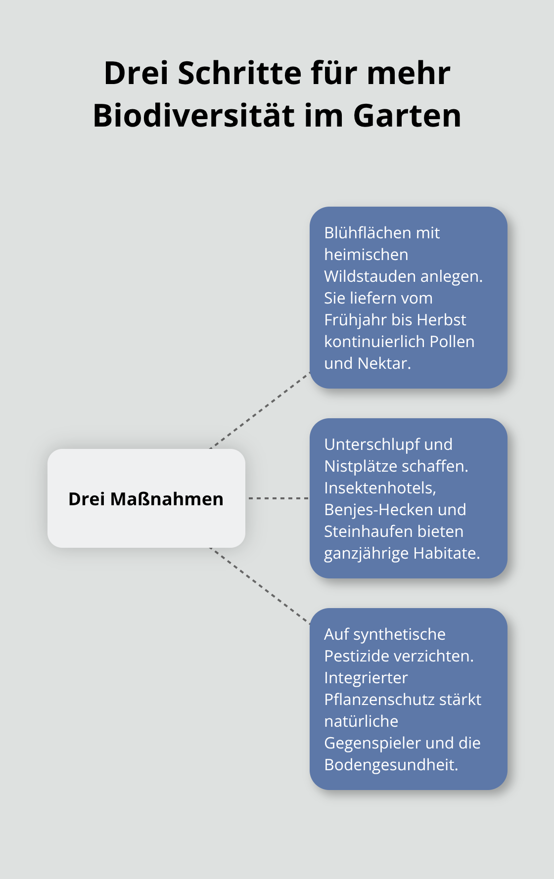 Hub-and-Spoke-Grafik zu drei zentralen Maßnahmen für Biodiversität im Garten - Biodiversität Garten Gestaltung Tipps