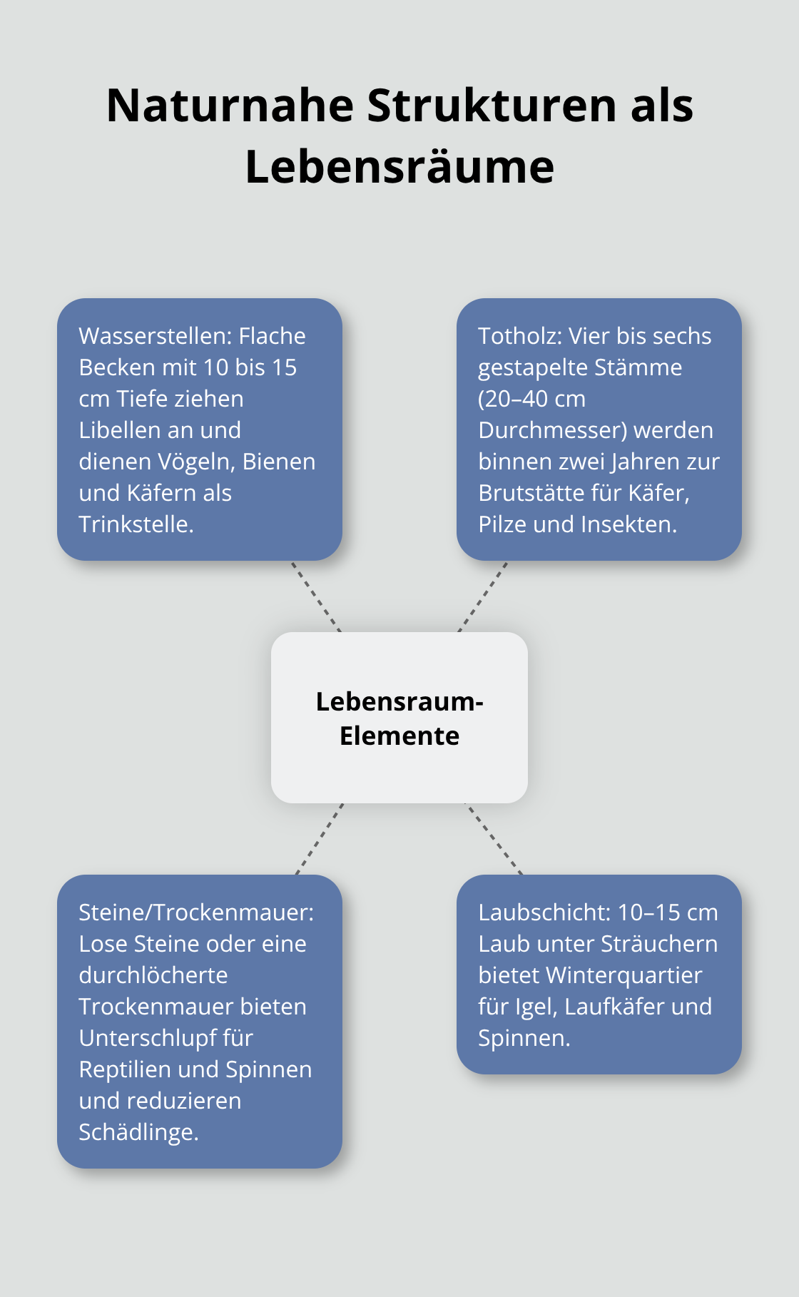 Zentrale Lebensraum-Elemente im Garten und ihre ökologische Funktion
