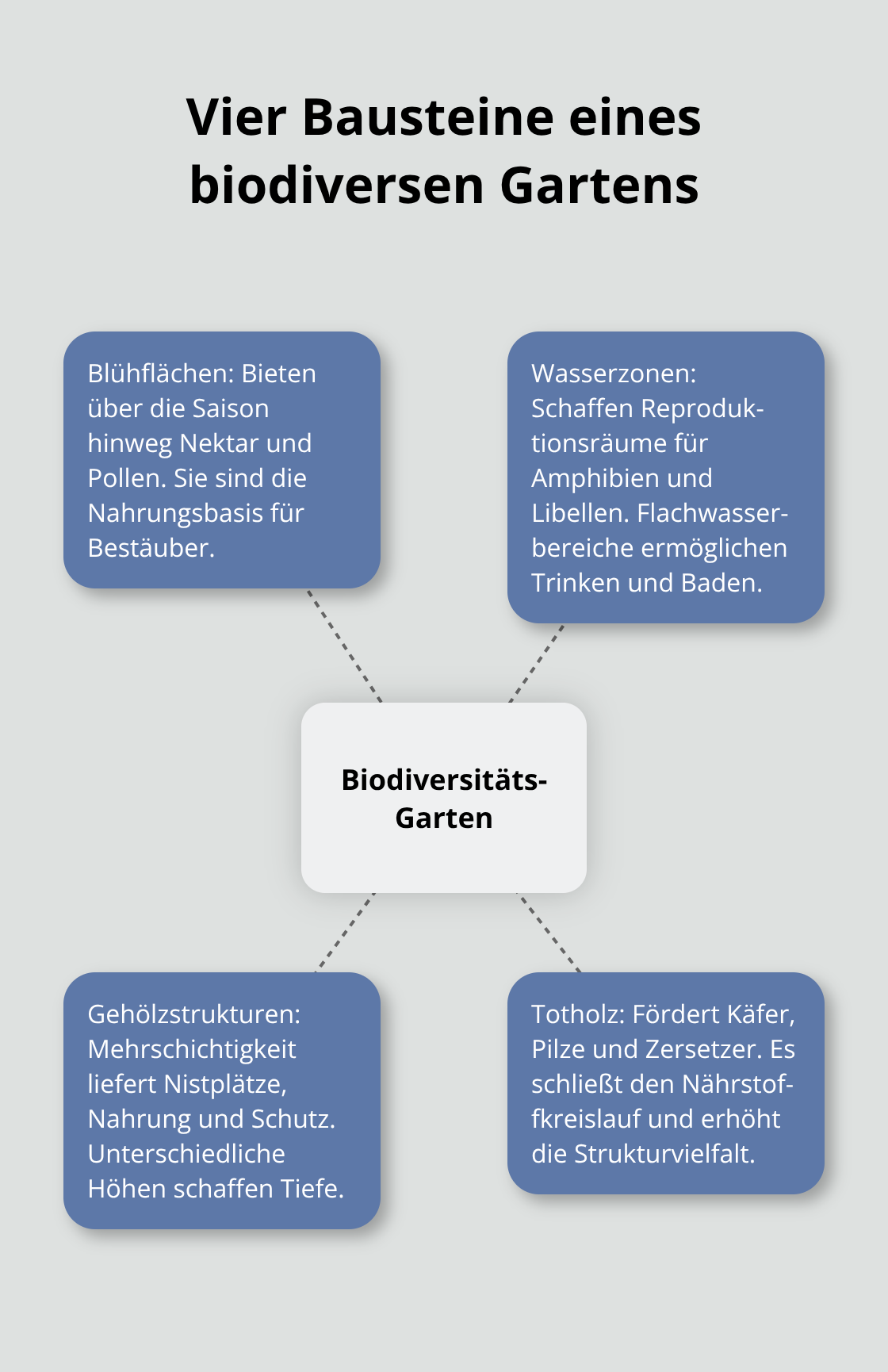 Hub-and-Spoke-Grafik mit zentralem Biodiversitäts-Garten und vier verbundenen Elementen