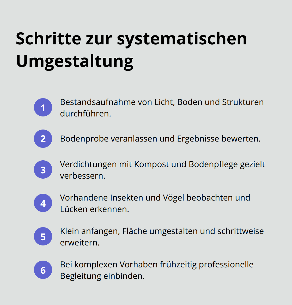 Kompakte Schritt-für-Schritt-Liste für den biodiversen Garten