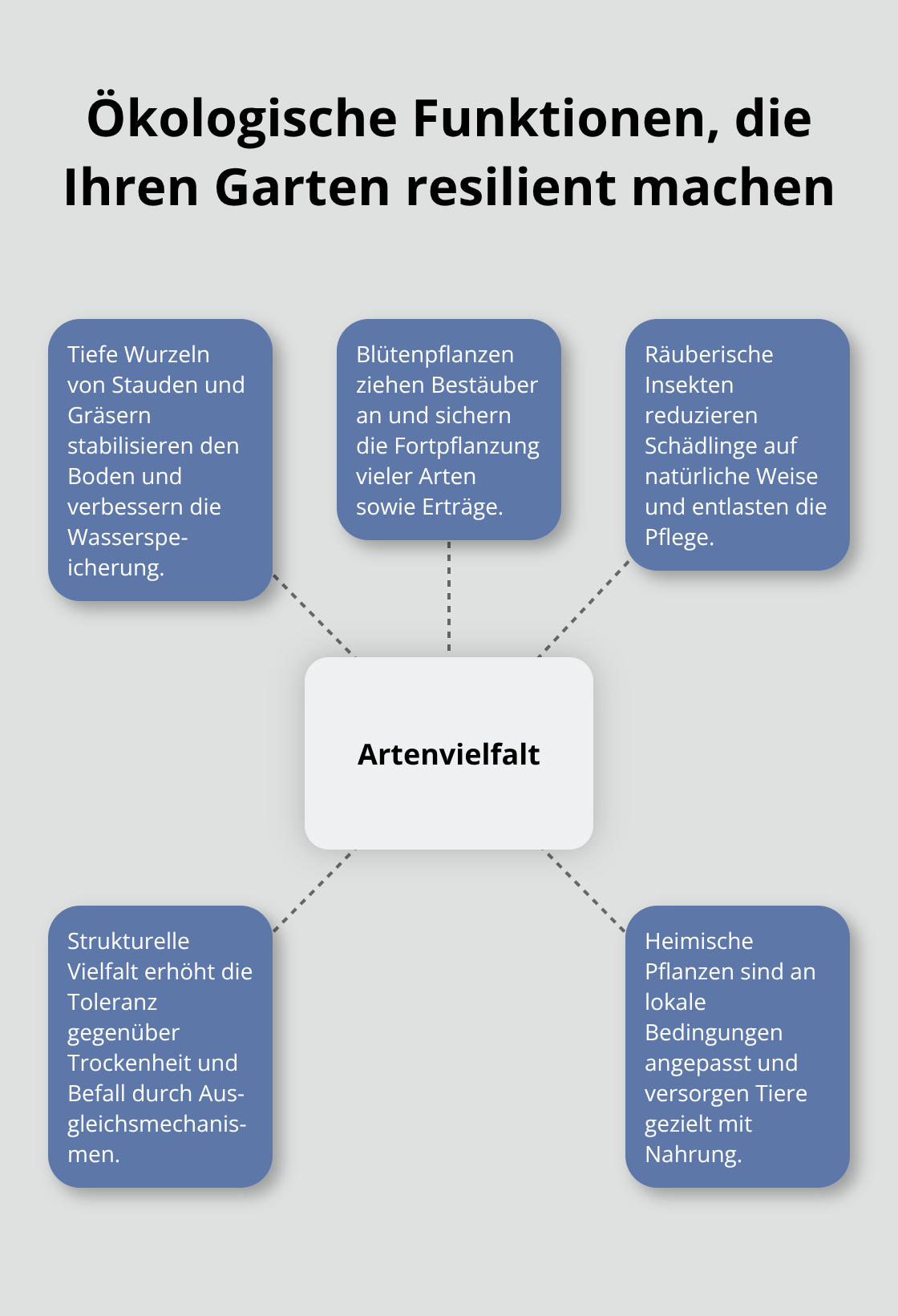 Infografik: Zentrale Rolle der Artenvielfalt mit funktionalen Beiträgen zur Gartengesundheit. - Biodiversität Gestaltung Außenräume