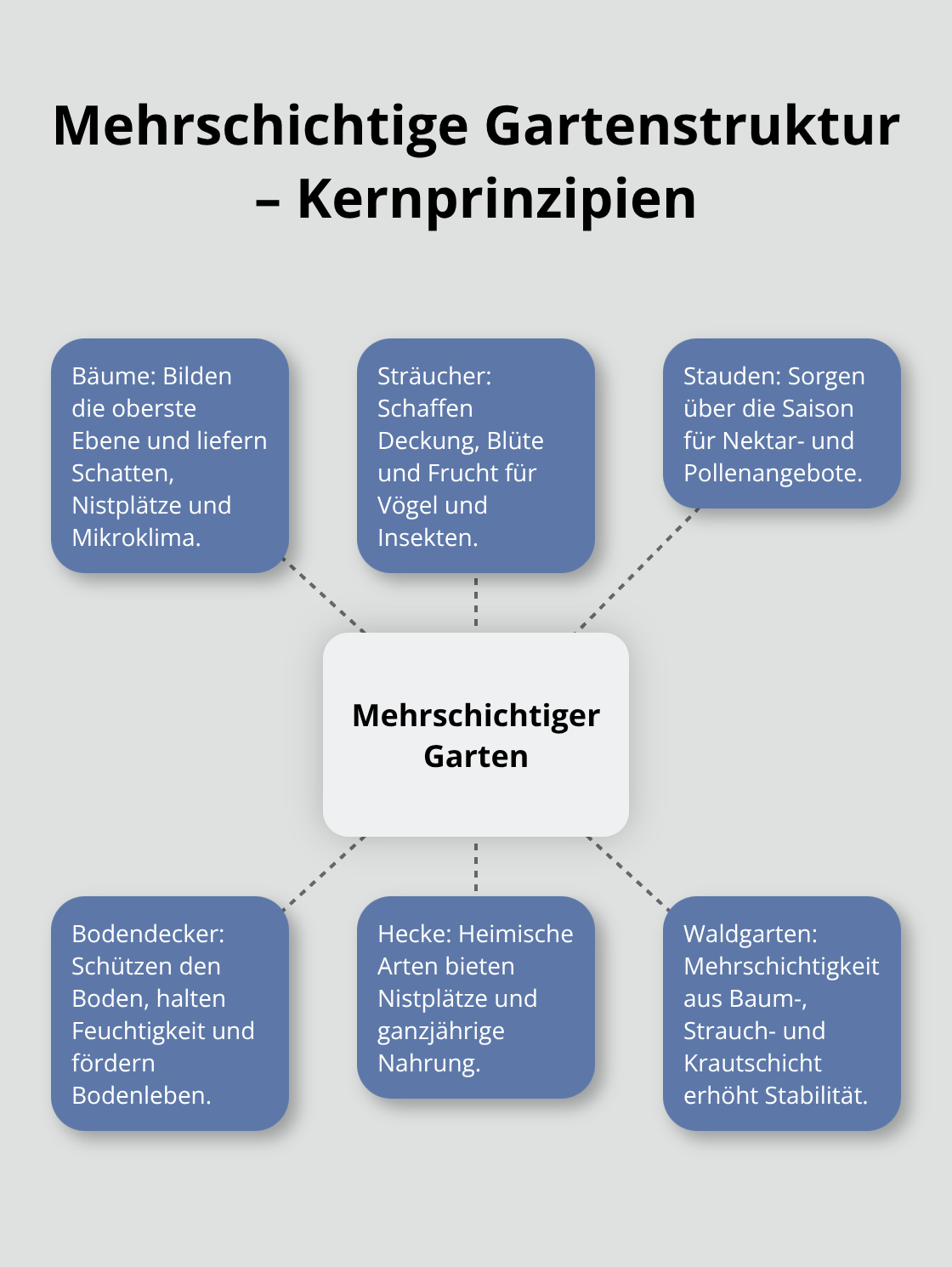Hub-and-Spoke-Grafik zu den Ebenen und Elementen eines mehrschichtigen Gartens - Biodiversität im Garten fördern