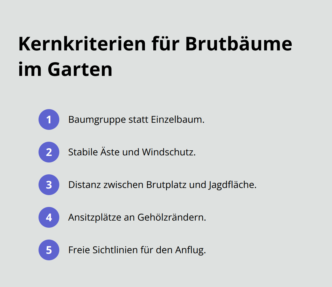 Wichtige Kriterien für sichere Brutbäume von Raubvögeln im Garten