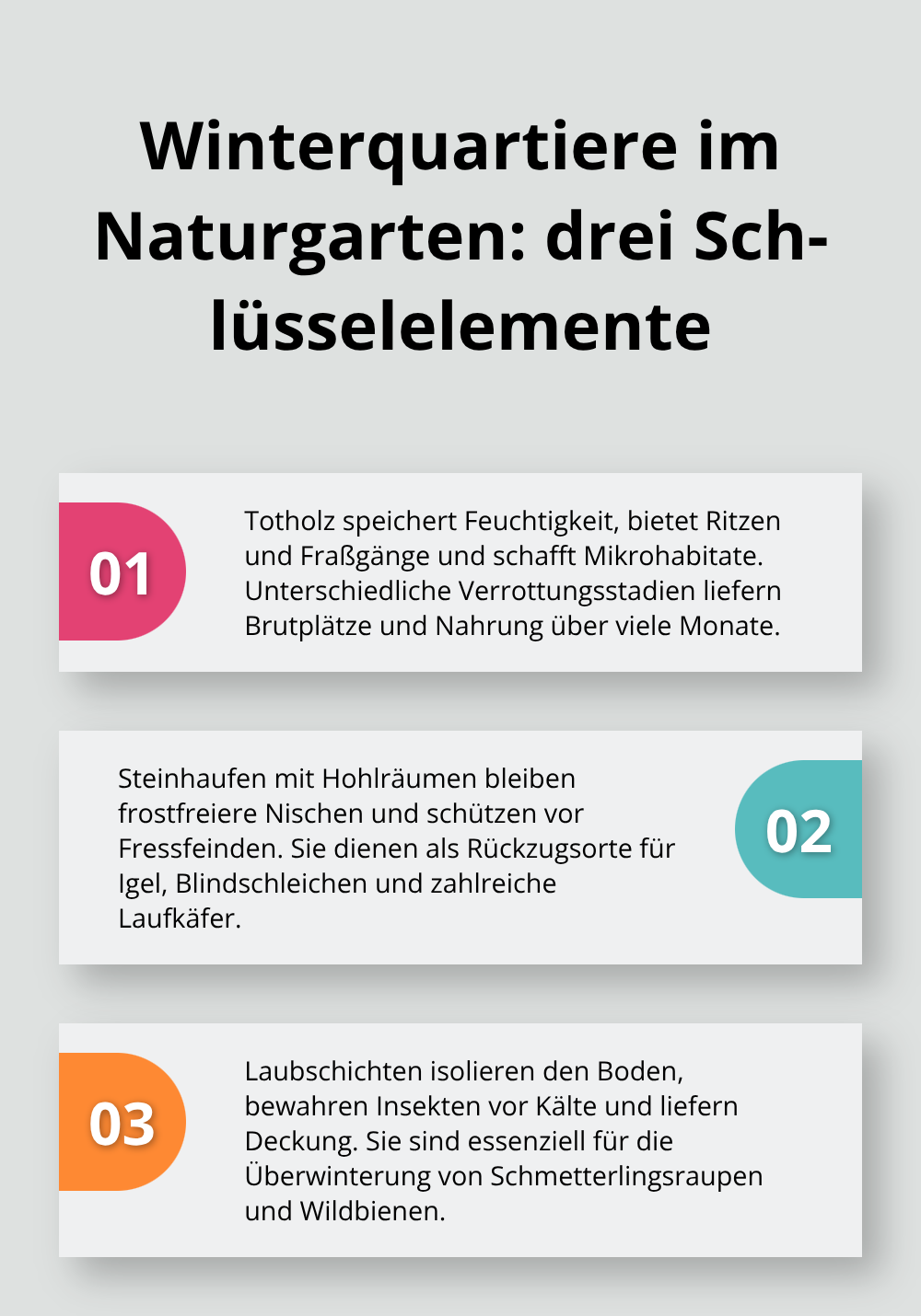 Drei zentrale Strukturelemente für Überwinterung von Tieren im Garten - Biodiversität Struktur