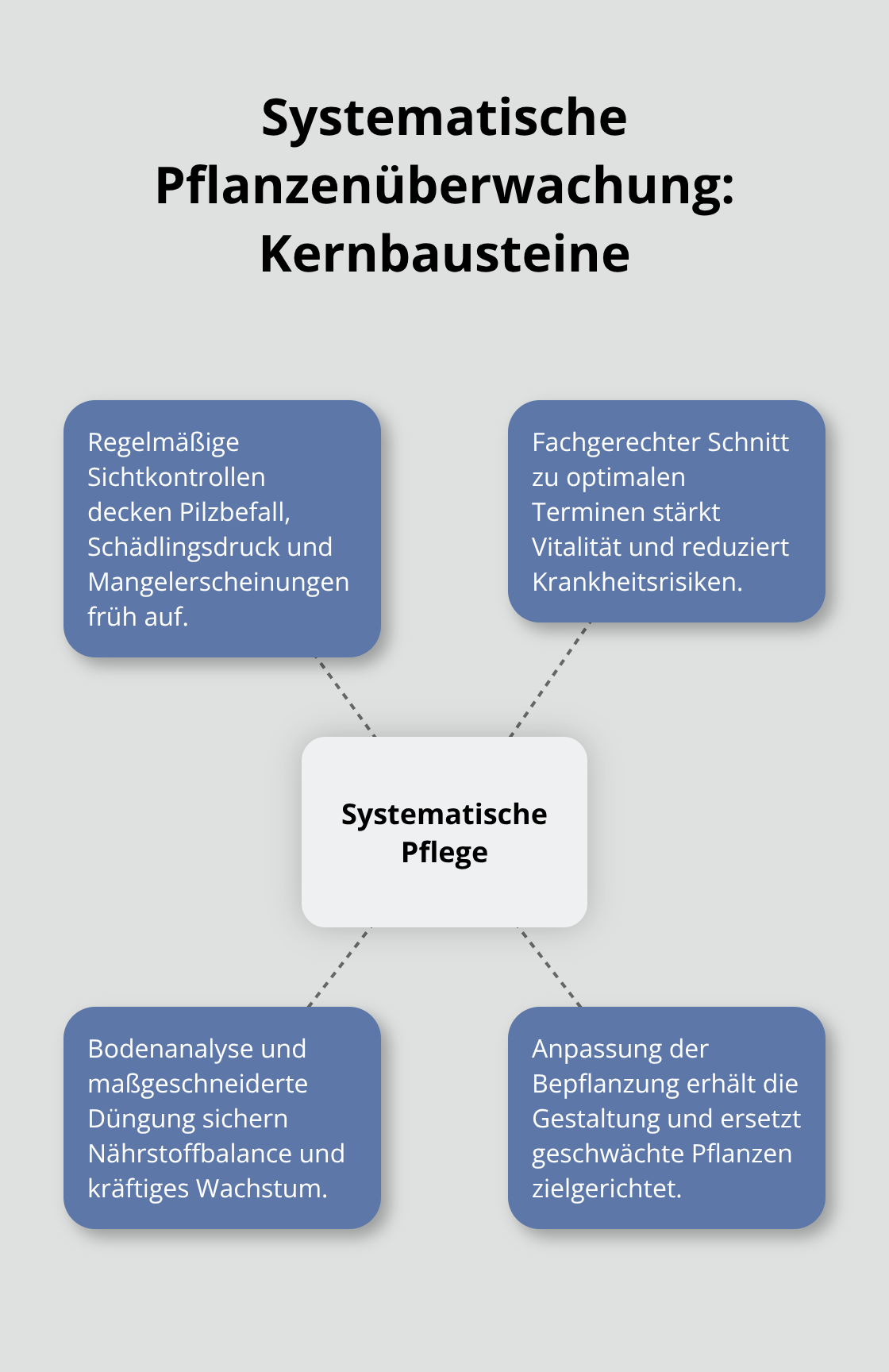 Infografik: Elemente der systematischen Pflanzenpflege in der Langzeitbetreuung - Gartenpflege Langzeitbetreuung Konzept