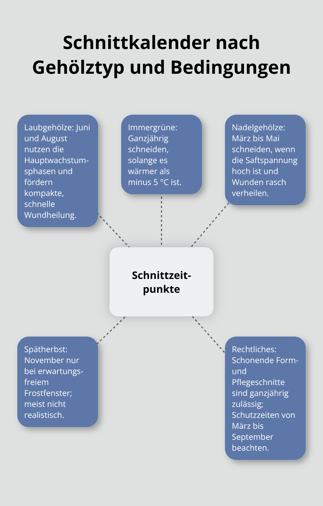 Zentrale Regeln zu Schnittzeitpunkten für Laubgehölze, Immergrüne und Nadelgehölze in Deutschland - Gehölzschnitt Architektur