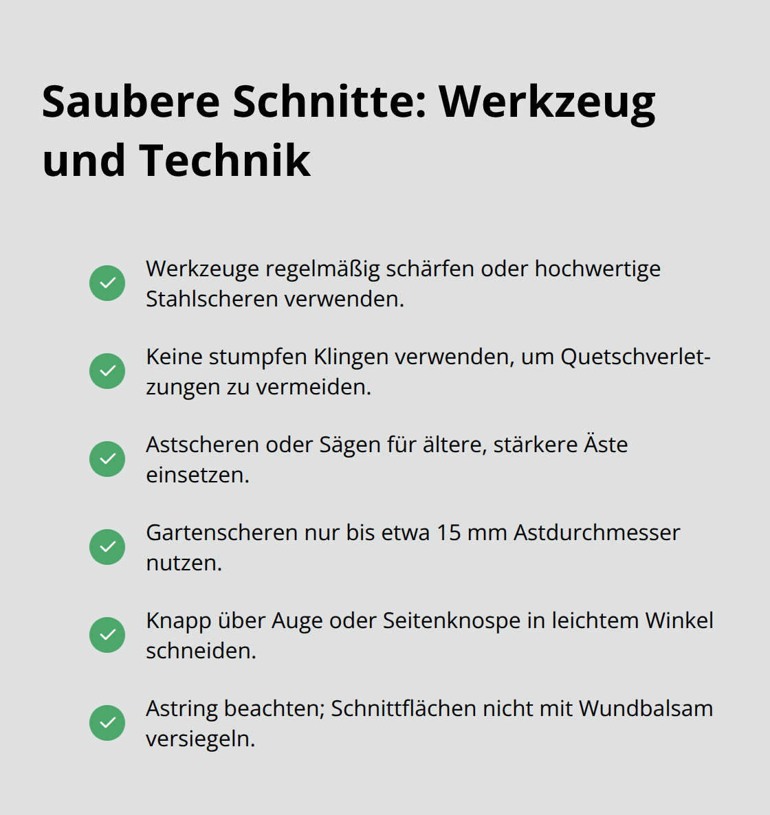 Checkliste für Werkzeugqualität und korrekte Schnitttechnik beim Gehölzschnitt