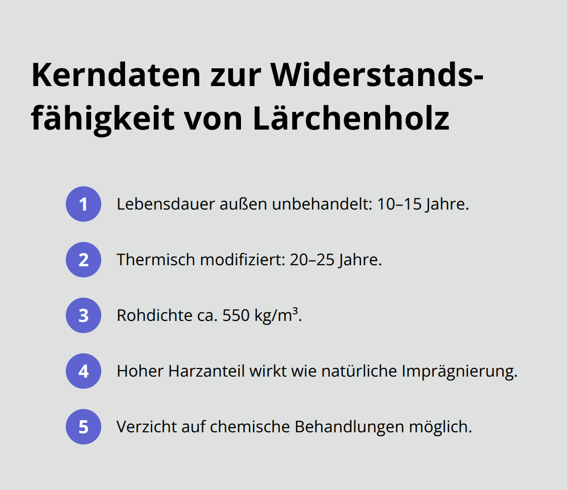 Überblick zu Lebensdauer, Rohdichte und natürlichem Schutz von Lärchenholz - Lärchenholz Nachhaltigkeit