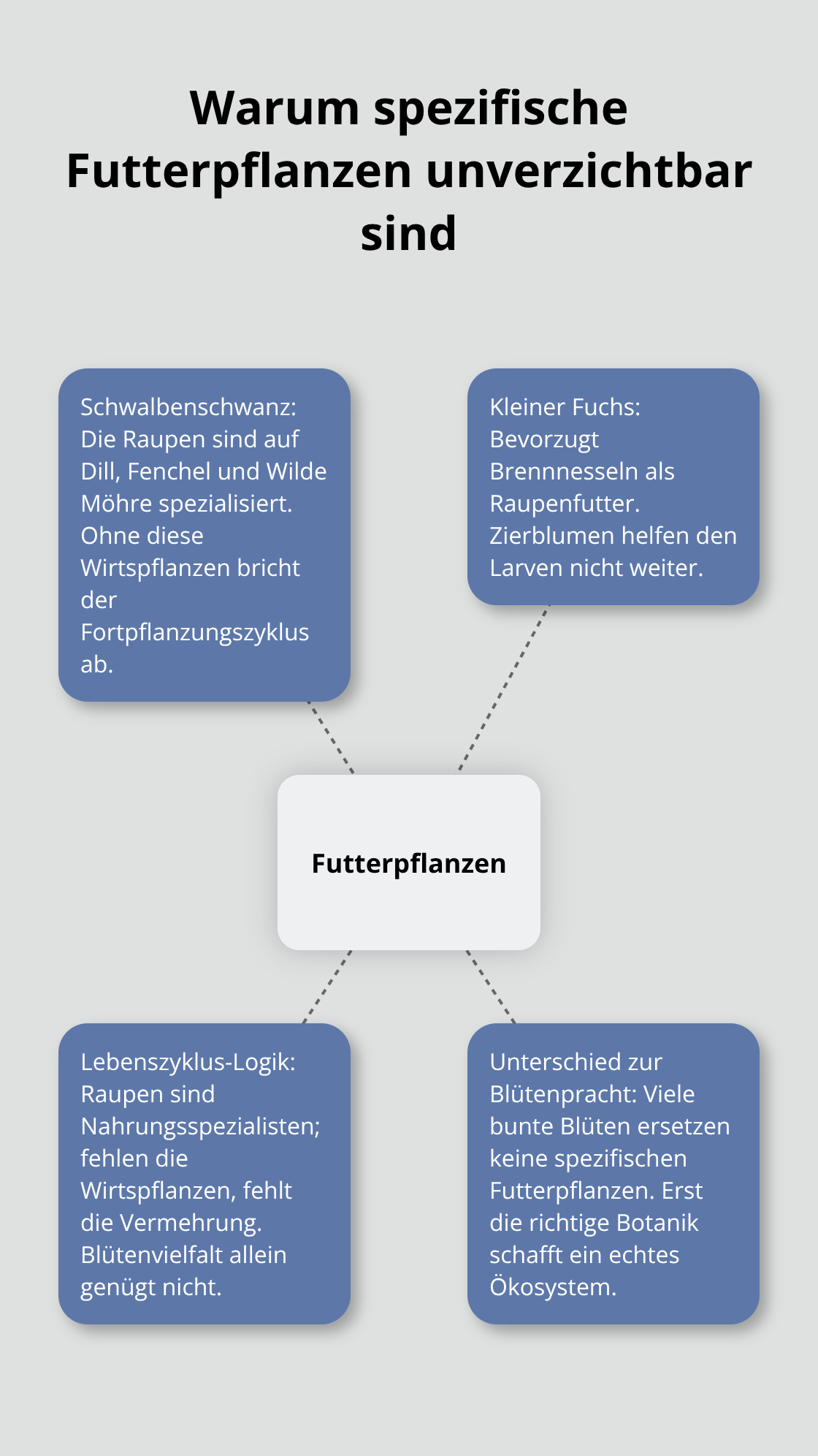 Zentrale Futterpflanzen und ihre Bedeutung für heimische Schmetterlinge - Schmetterlingswiese Biodiversität