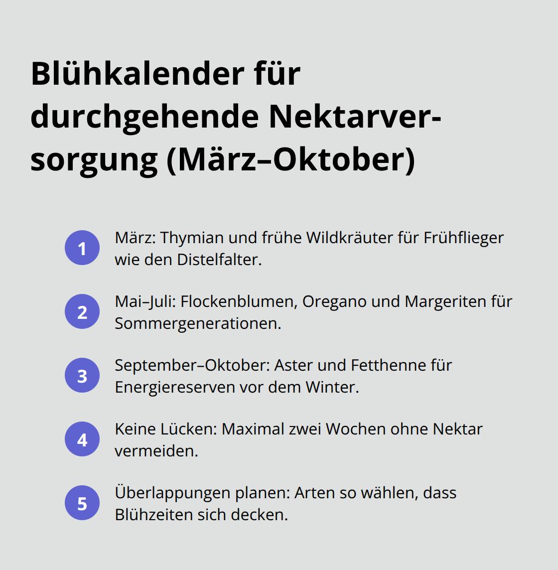 Kompakter Blühkalender für Schmetterlingswiesen von März bis Oktober - Schmetterlingswiese Biodiversität