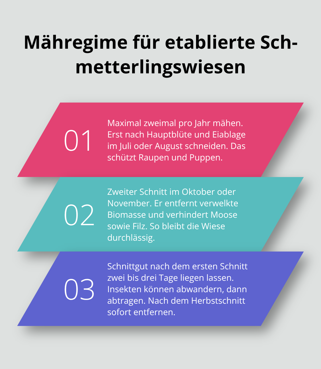 Drei zentrale Regeln für den schonenden Schnitt einer Schmetterlingswiese