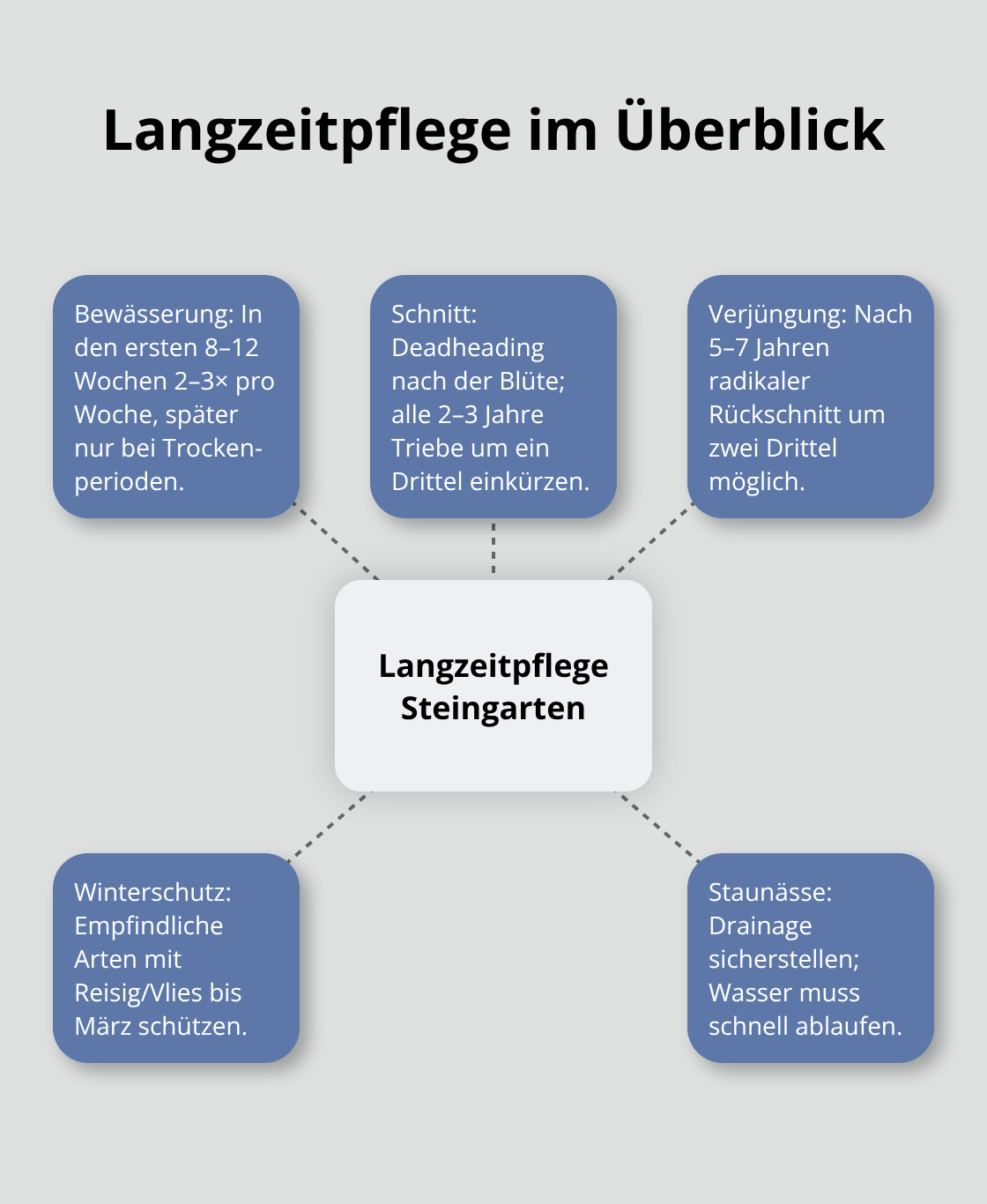 Hub-and-Spoke-Grafik zu Pflegebausteinen im Steingarten mit Sukkulenten